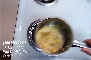 jIMPACT! Egg-Defying Feat. Why?!